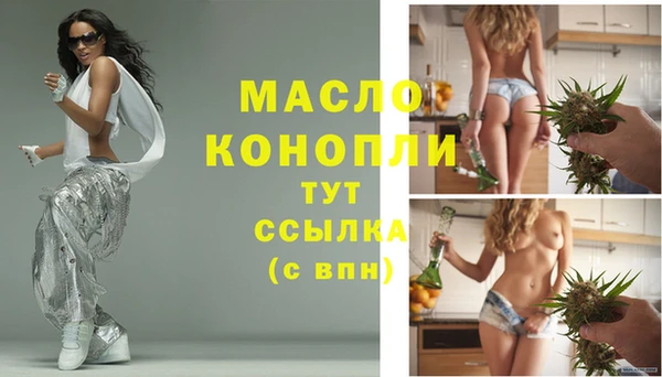гидра Вязьма