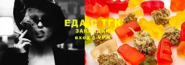 гидра Вязьма