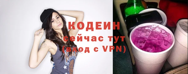 гидра Вязьма