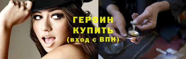 гидра Вязьма