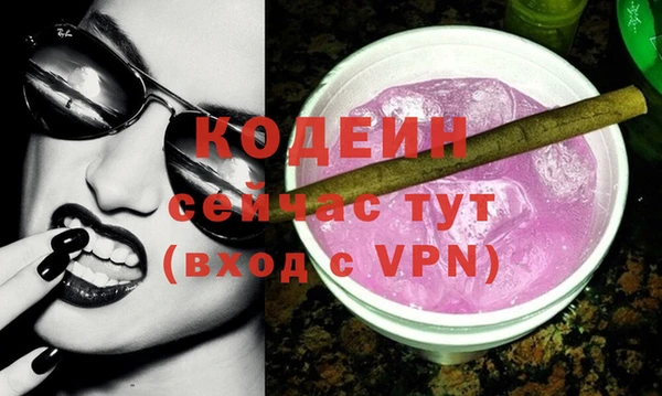 apvp Вяземский