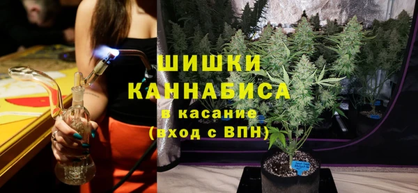 гидра Вязьма