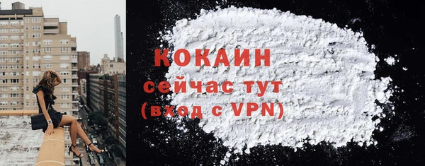 apvp Вяземский