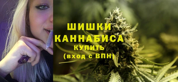 apvp Вяземский