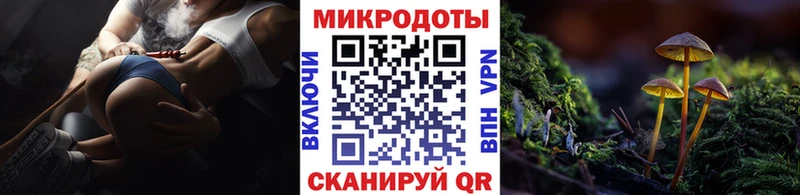 Псилоцибиновые грибы Psilocybine cubensis  Купить где  Жердевка 